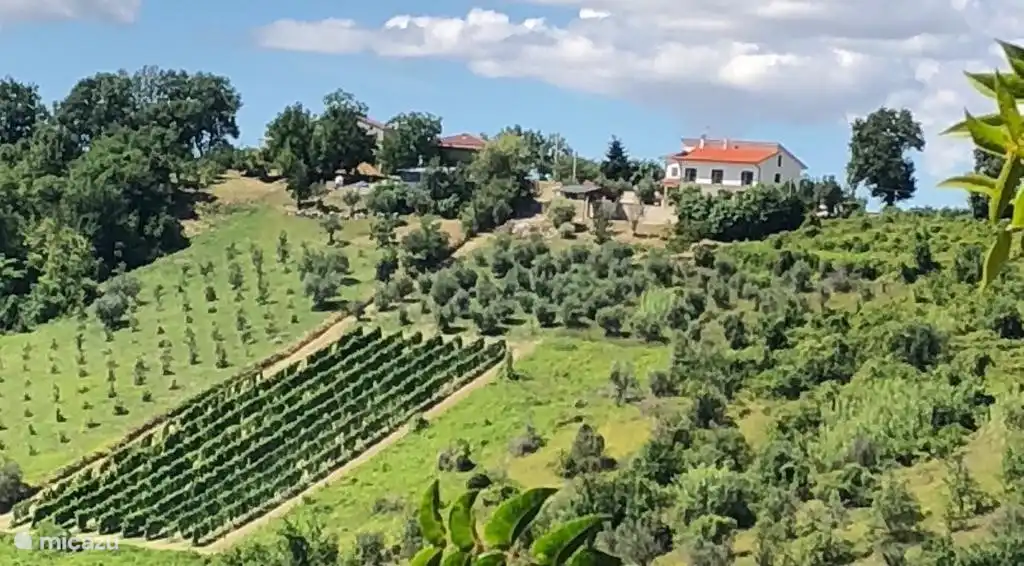 Location de Vacances Italie, Abruzzes, Cermignano, maison de vacances - Casa delle Rose