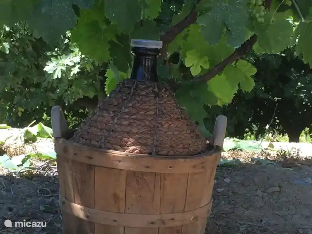 Casa delle Rose huren in Italië, Abruzzen, Cermignano - vakantiehuis Druiven in de tuin