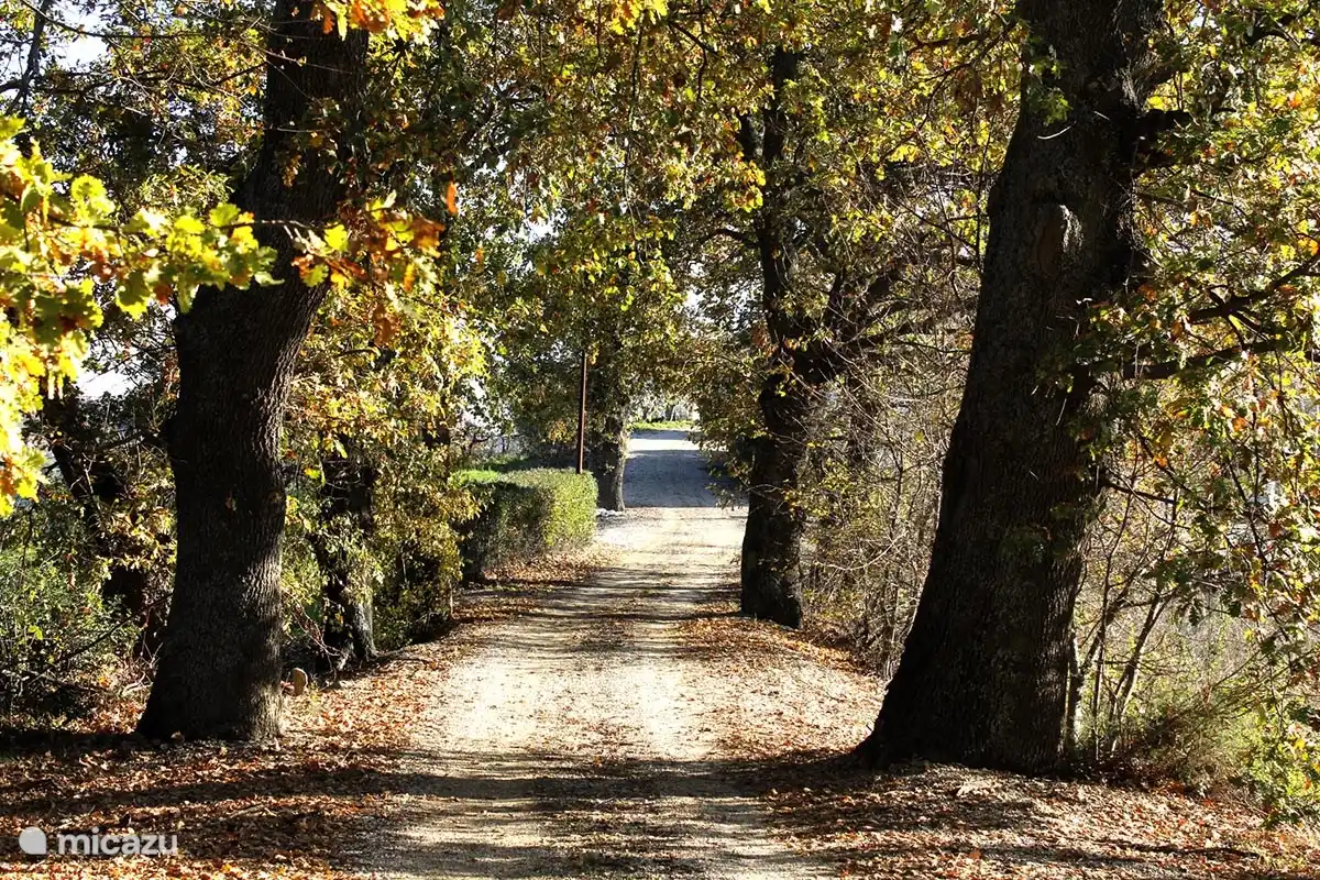 Chemin vers la maison