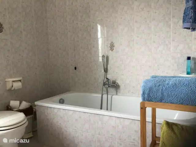 Casa delle Rose huren in Italië, Abruzzen, Cermignano - vakantiehuis Badkamer