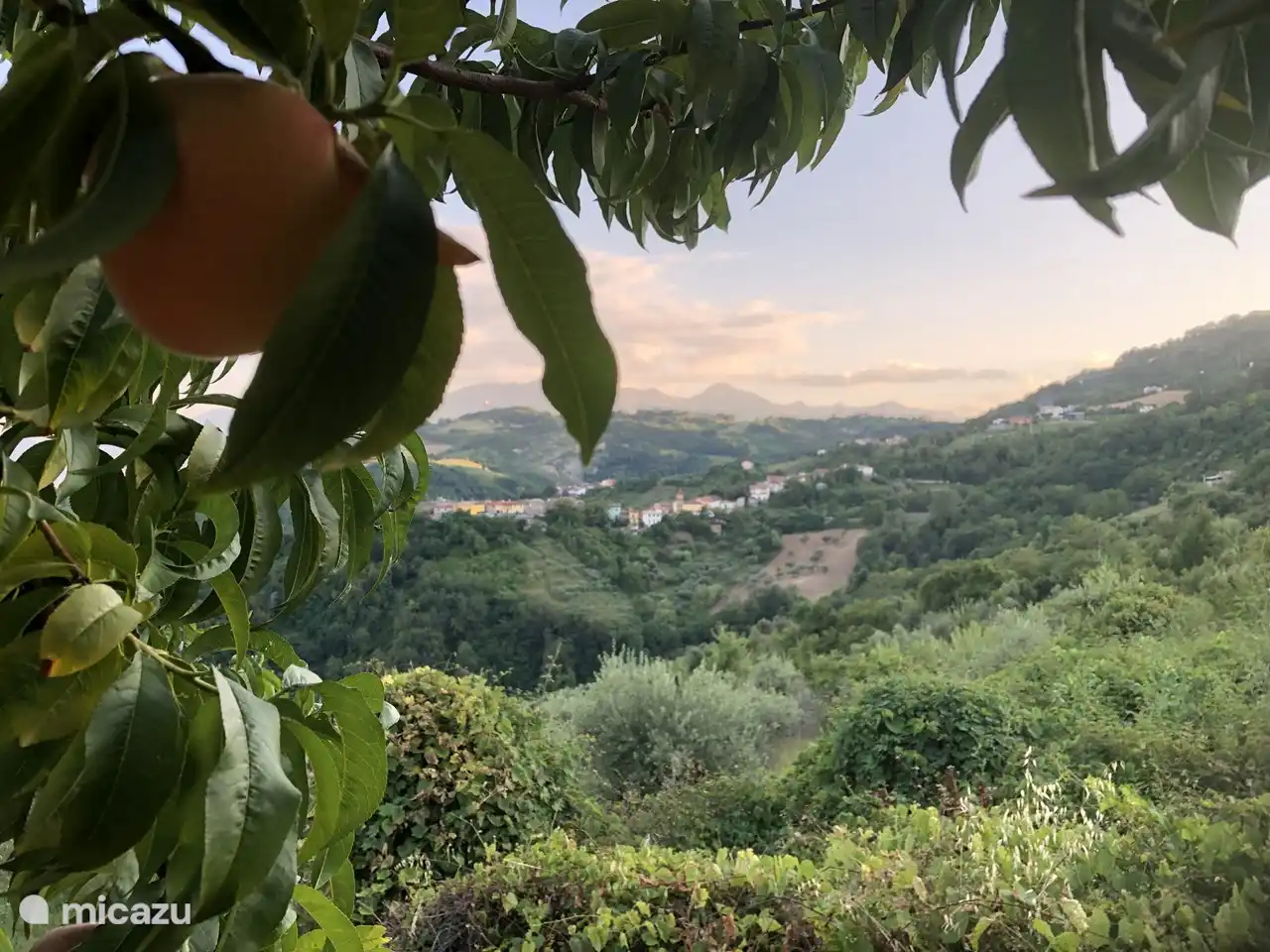 Vue depuis le jardin