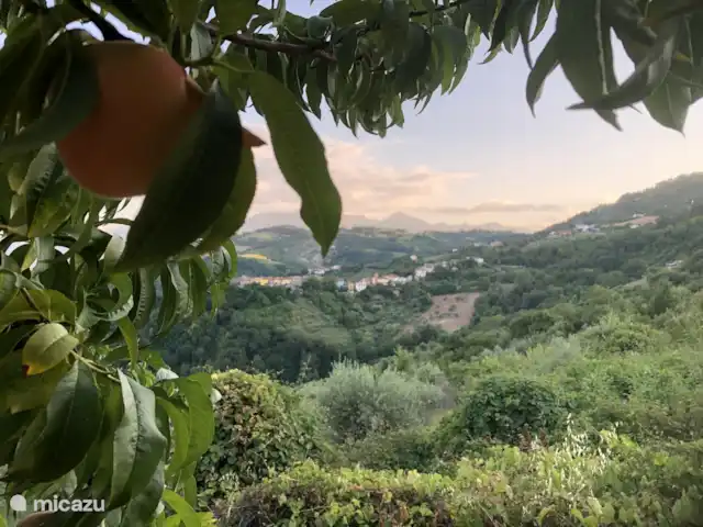 Casa delle Rose huren in Italië, Abruzzen, Cermignano - vakantiehuis Zicht vanuit de tuin
