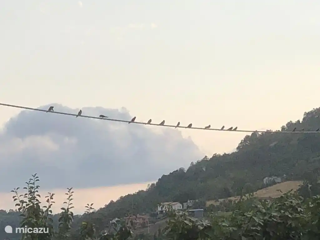 Tranquillité sereine