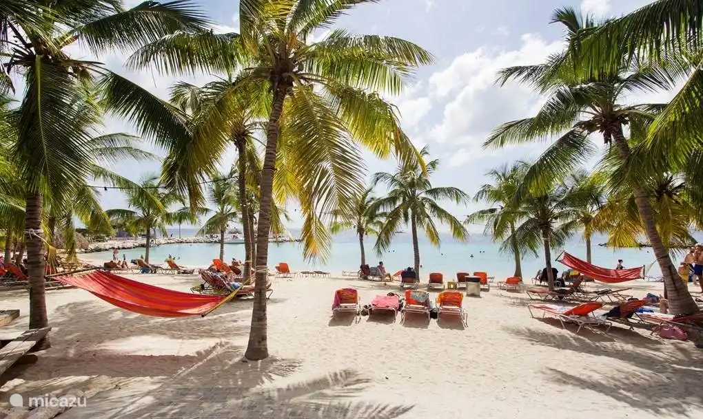 Belle plage avec des palmiers tropicaux