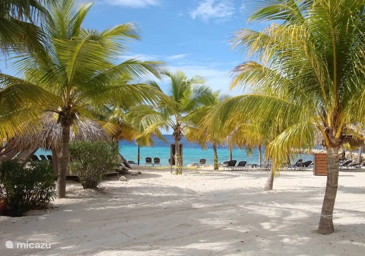 Coin détente sur la plage