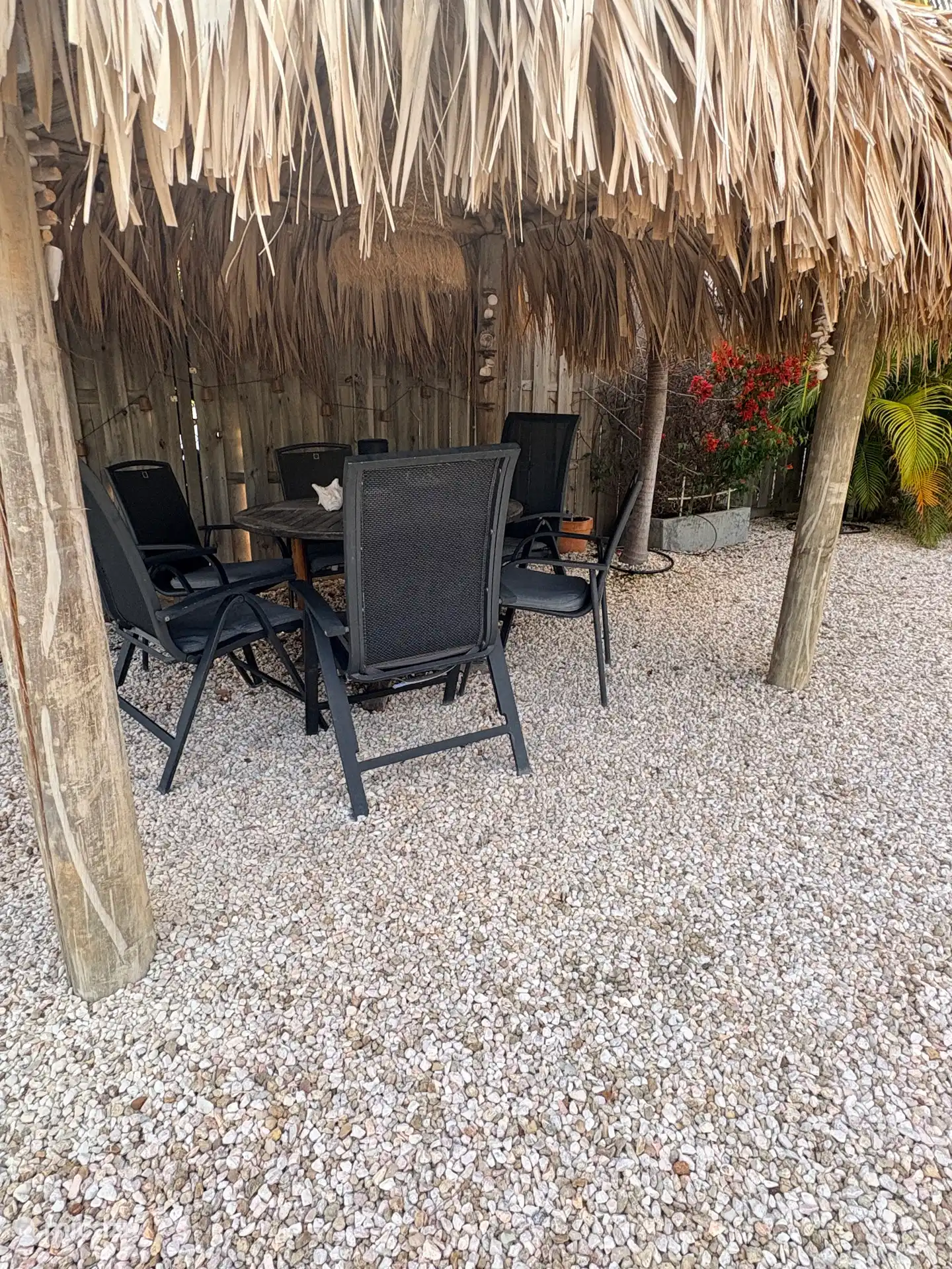 Palapa en el jardín trasero 