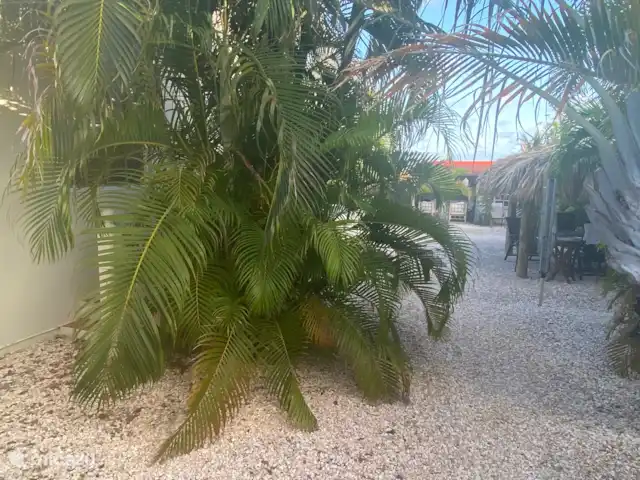 Domaine du Mile Bleu | Bonaire, Bonaire, Santa Barbara - maison de vacances Vue à mi-chemin du jardin à l’arrière avec parapa et coin salon à droite et coin salon couvert à l’arrière