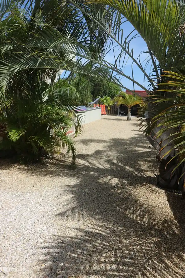 View from the garden room on the garden and the pool
