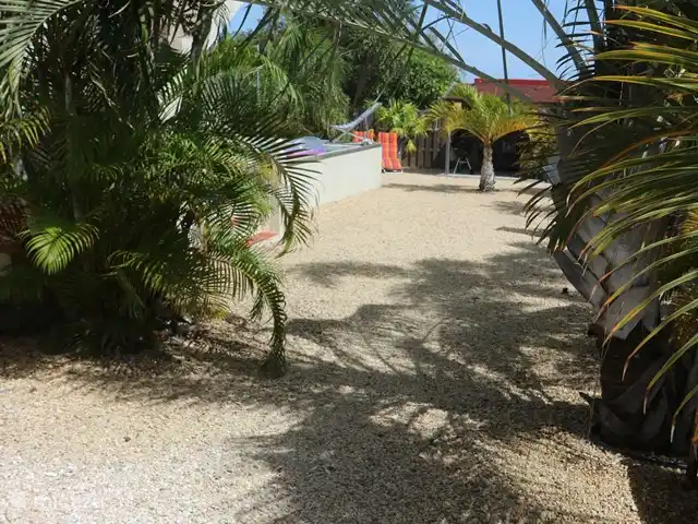 Domaine du Mile Bleu | Bonaire, Bonaire, Santa Barbara - maison de vacances Vue de la chambre de jardin sur le jardin et la piscine
