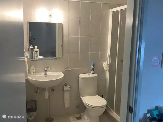 Domaine du Mile Bleu | Bonaire, Bonaire, Santa Barbara - maison de vacances Salle de bain de la chambre principale avec accès privé. Lavabo, toilette et douche.
