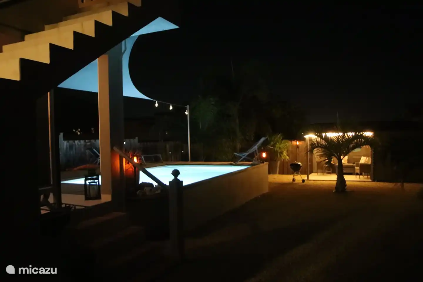 The garden at night