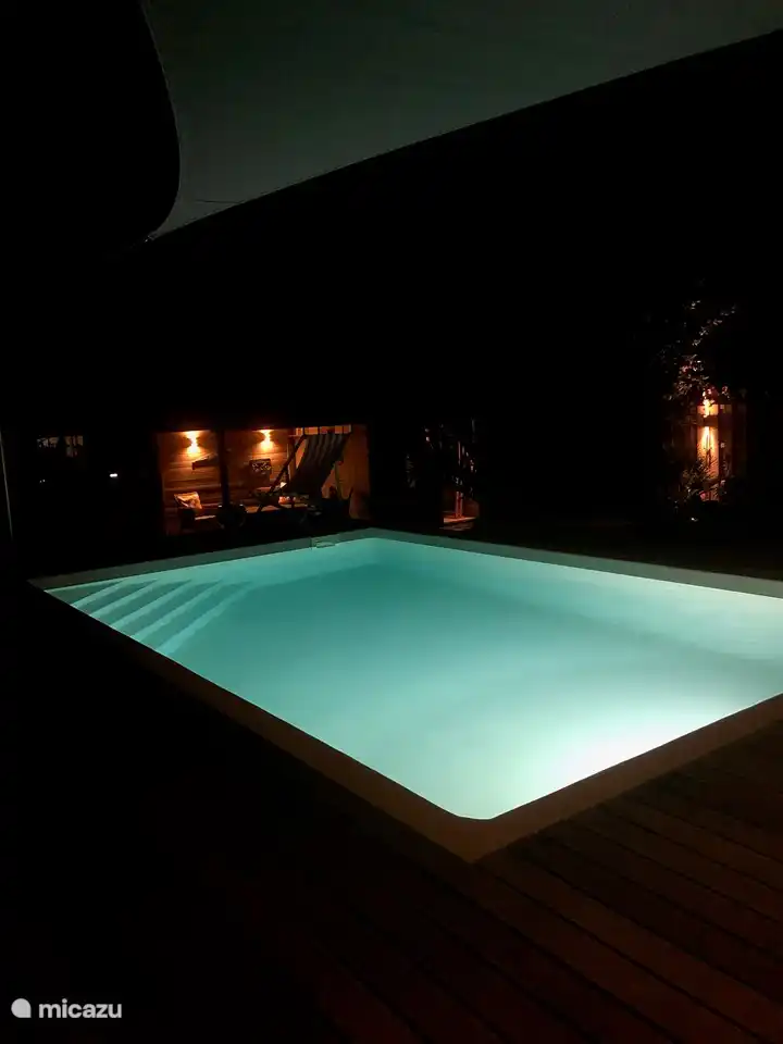 Illuminated pile. With lighting over the entire garden and garden shed.