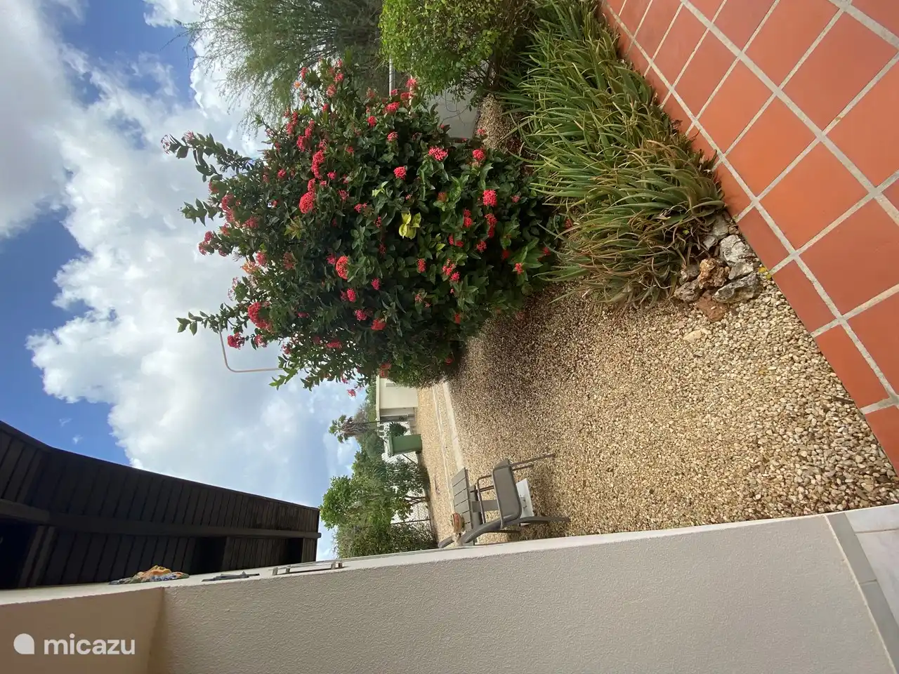 Front garden with seating