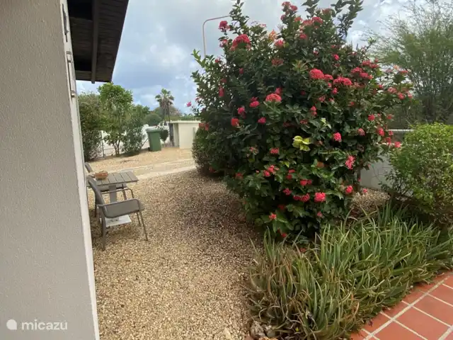 Domaine du Mile Bleu | Bonaire, Bonaire, Santa Barbara - maison de vacances Jardin de devant avec sièges