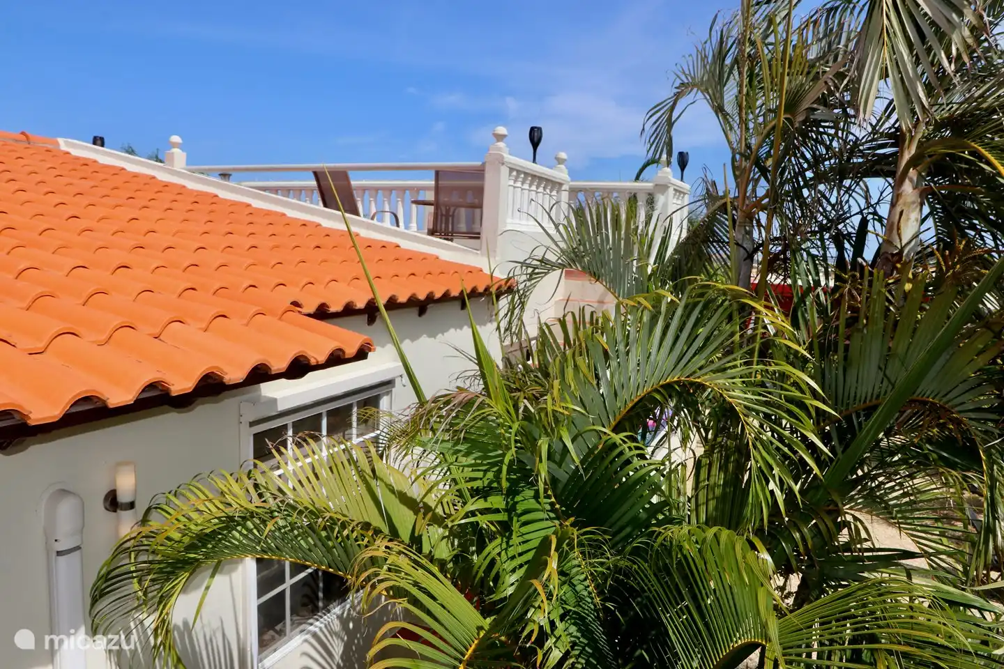 Side view of roof terrace through the palms at the garden room
