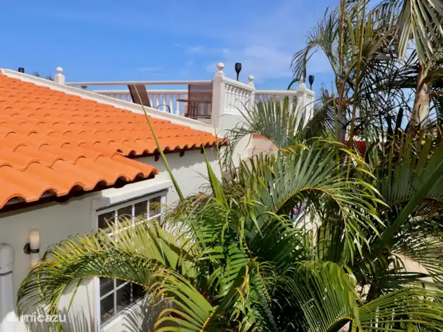 Domaine du Mile Bleu | Bonaire, Bonaire, Santa Barbara - maison de vacances Vue latérale de la terrasse sur le toit à travers les palmiers de la salle de jardin
