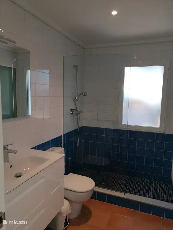 1 of 3 bathrooms with walk-in shower