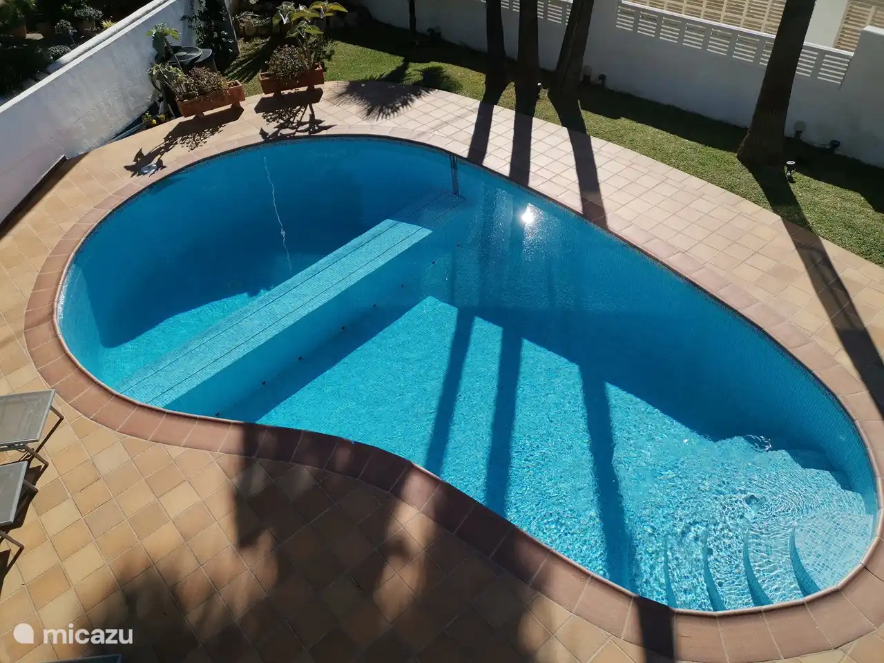 seen the kidney-shaped pool from the upper terrace