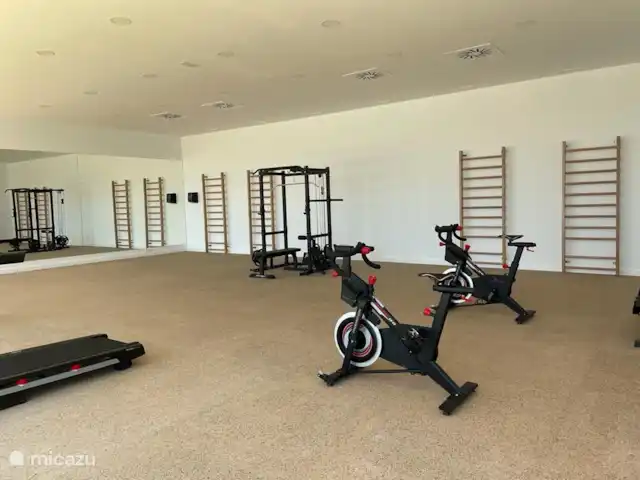 Casa Mila Sauna,Gym,Padel 3 PISCINES | Espagne, Costa Blanca, Finestrat - appartement Salle de sport moderne