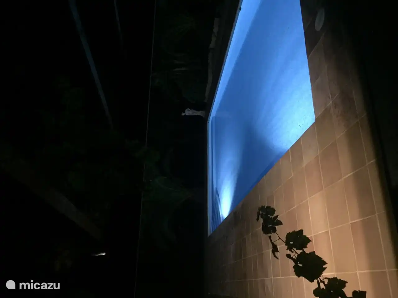 La piscina también tiene iluminación subacuática.