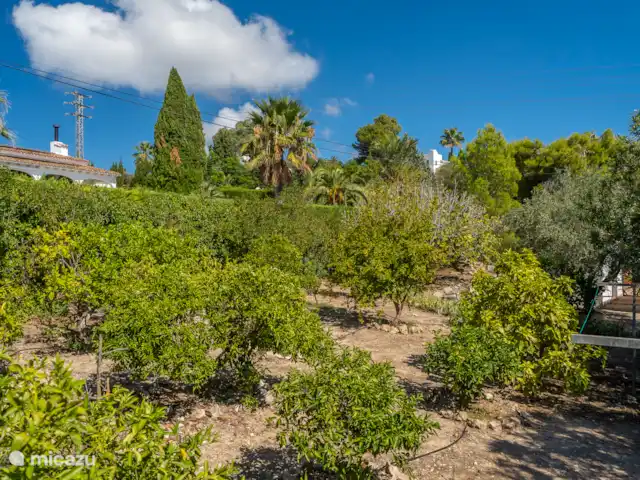 Casa La Morada huren in Spanje, Costa Blanca, Jávea - finca
