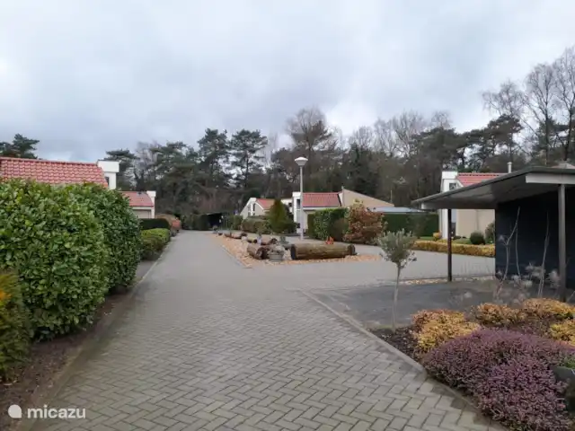 Frederiksoord 8 | Pays-Bas, Gueldre, Wells - bungalow Vue d’ensemble du parc