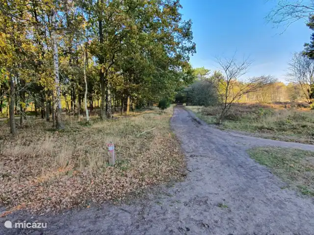 Frederiksoord 8 | Pays-Bas, Gueldre, Wells - bungalow Belle promenade et profitez du calme et de la tranquillité.