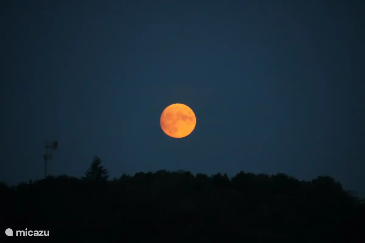 There you fall silent. When night falls you don't want to go to sleep. The sound of the silence and the nightlife of the fauna of the Périgord Vert will keep you awake...