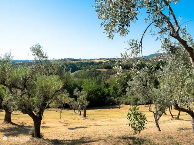 Casa Bellance | Italie, Le Latium, Tarano - villa l'oliveraie