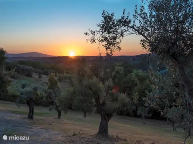 Casa Bellance | Italie, Le Latium, Tarano - villa Oliveraie avec coucher de soleil