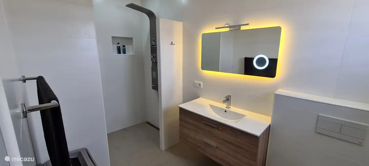 Bathroom 1 with rain shower and toilet.