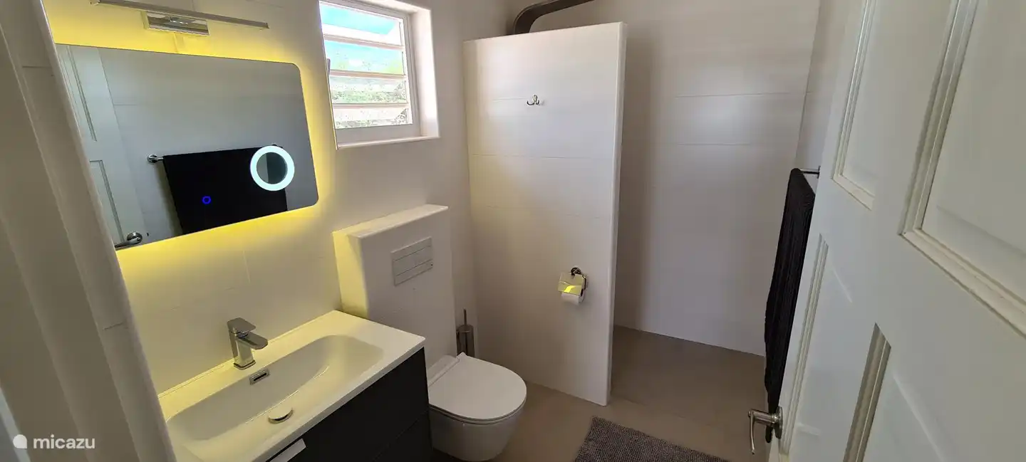 Bathroom 2 with rain shower and toilet.