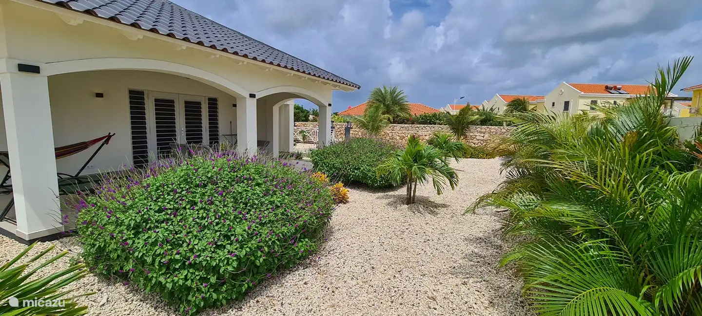 Garden with native plants/shrubs.
