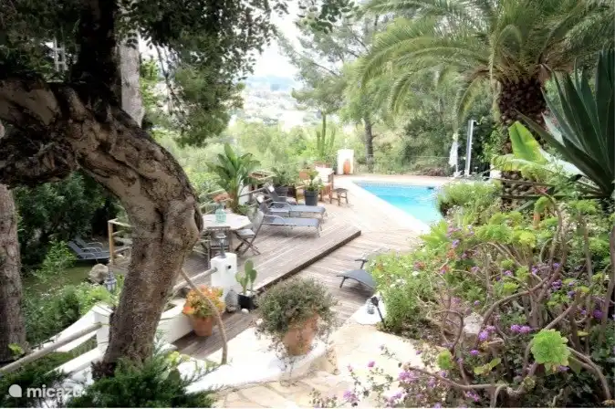 Beautiful mature botanical garden