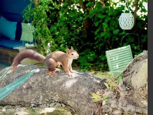 magia de la casa en España, Costa Blanca, Benissa - casa vacacional Nuestro vecino