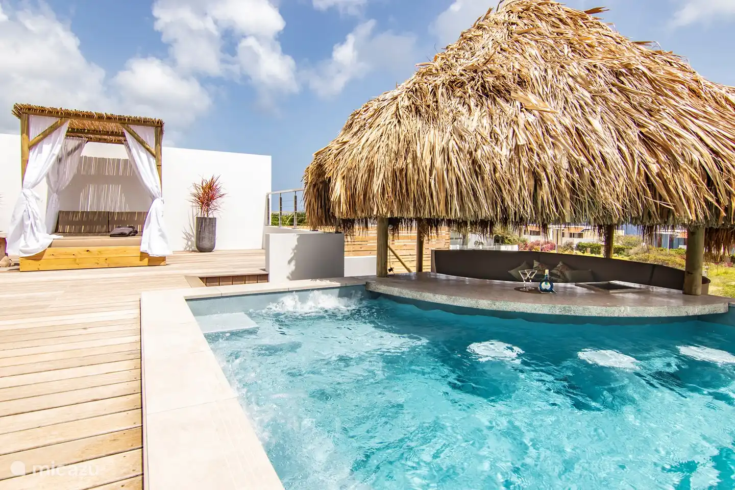 Magnapool mit Jets und Palapabar