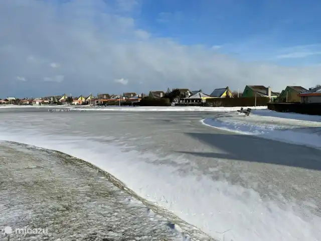 Étoile de mer 325 | Pays-Bas, Hollande du Nord, Julianadorp aan Zee - bungalow