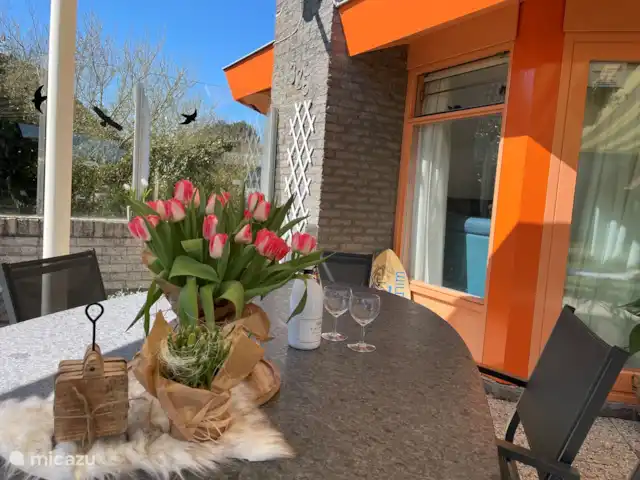 Étoile de mer 325 | Pays-Bas, Hollande du Nord, Julianadorp aan Zee - bungalow