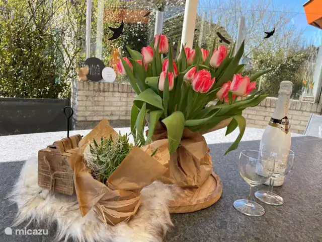 Étoile de mer 325 | Pays-Bas, Hollande du Nord, Julianadorp aan Zee - bungalow