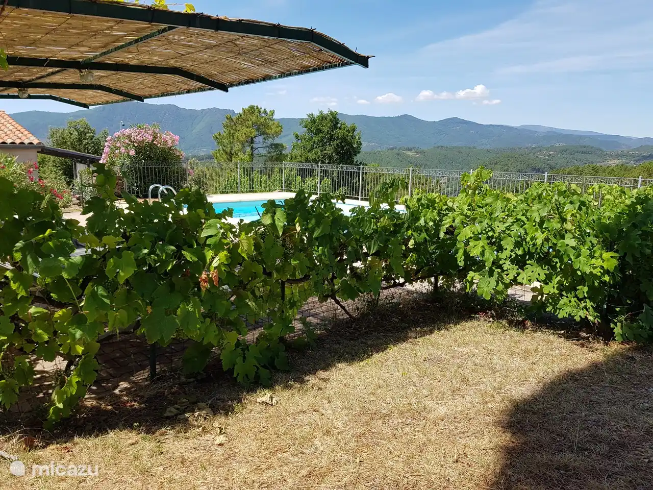 Blick auf die Umgebung