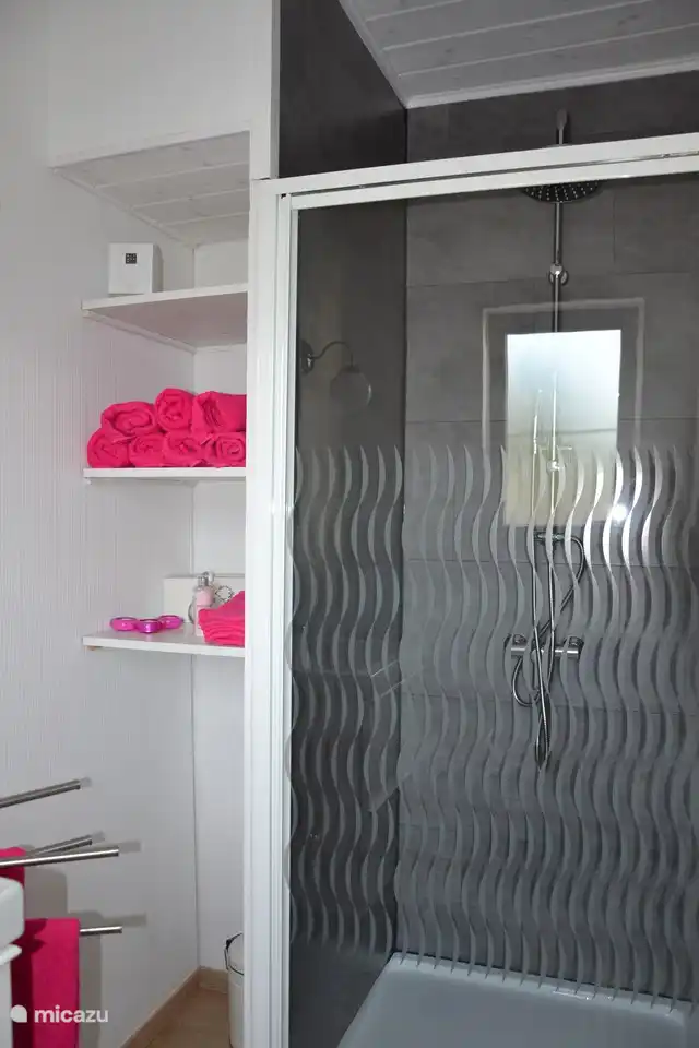 Cabine de douche dans 1 des salles de bain