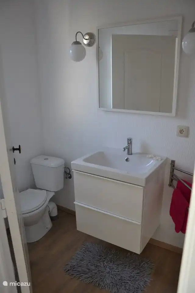 1 des 3 salles de bain (celle-ci a un WC-lavabo-douche)