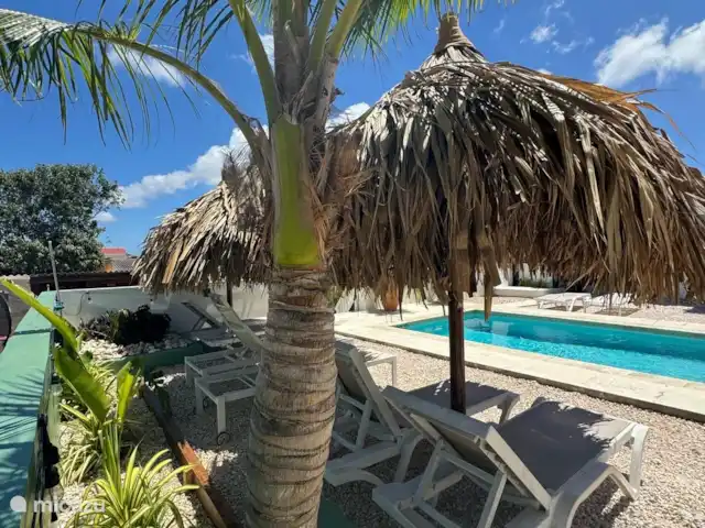 4BénédictionsCuraçao Mayo | Curaçao, Banda Ariba (est), Cas Grandi - appartement