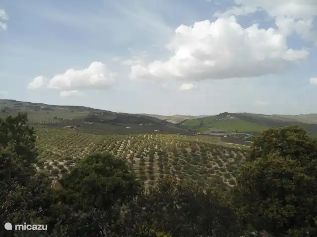 Casa Carmen huren in Spanje, Andalusië, Montefrio - finca niemand te zien