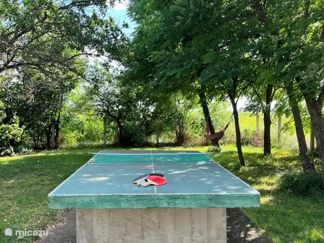 boerderij huren in Hongarije, Jász-Nagykun-Szolnok, Jászszentandrás – tanya 'Anouschka'