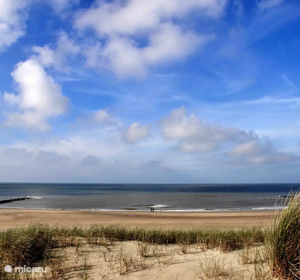 Strandparel 43