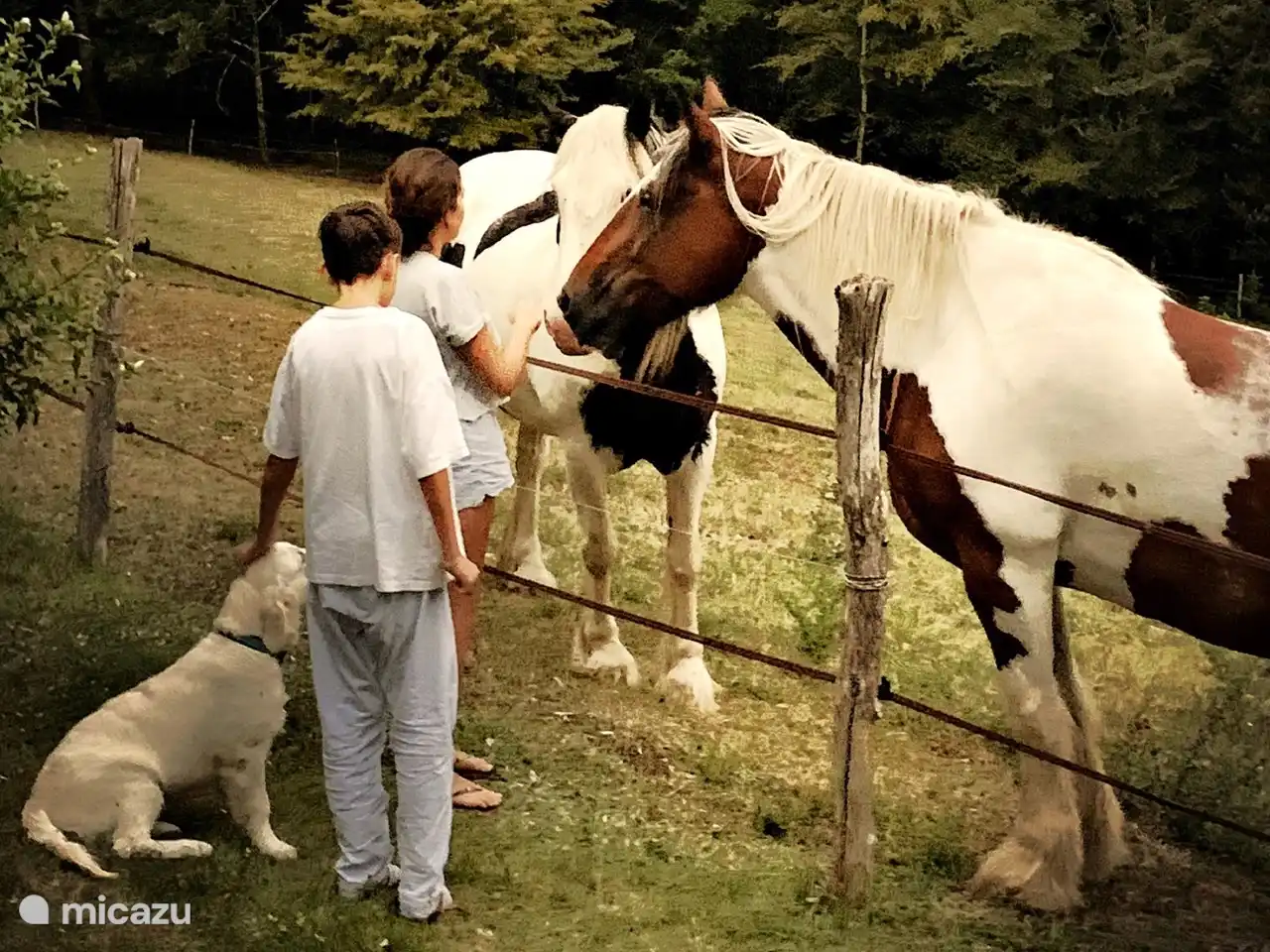 Cuddling with the horses!