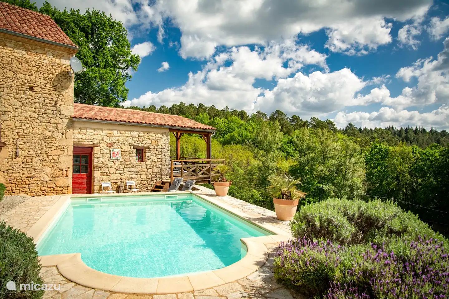 swimming pool with a view