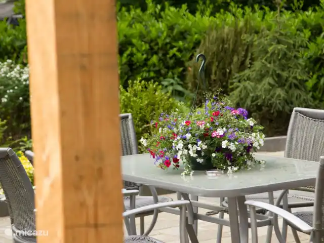 Le Théus | Pays-Bas, Overijssel, Nutter - maison de vacances terrasse dans le jardin