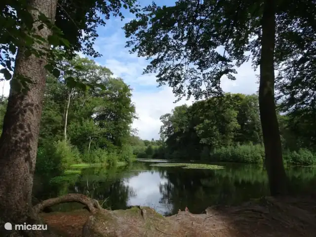 Le Théus | Pays-Bas, Overijssel, Nutter - maison de vacances Les sources derrière le parc